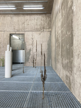 CHRISTIAN MÜHLBAUER